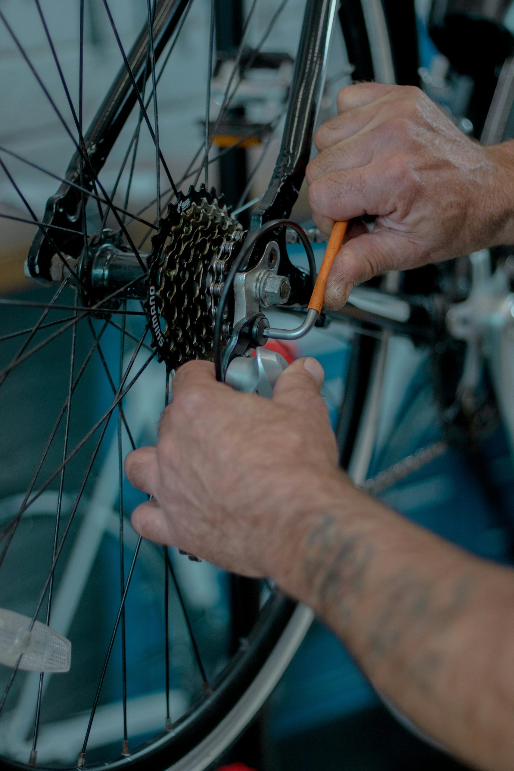Entretien de votre vélo : les bases à connaître